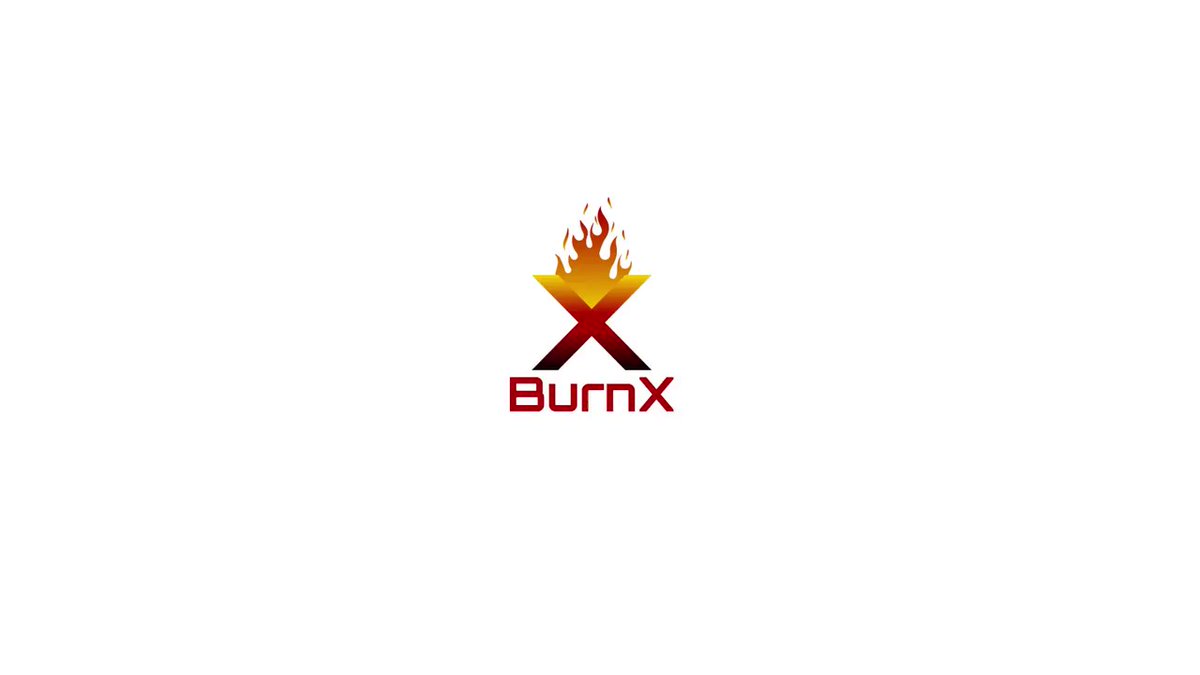 BurnX 2.0