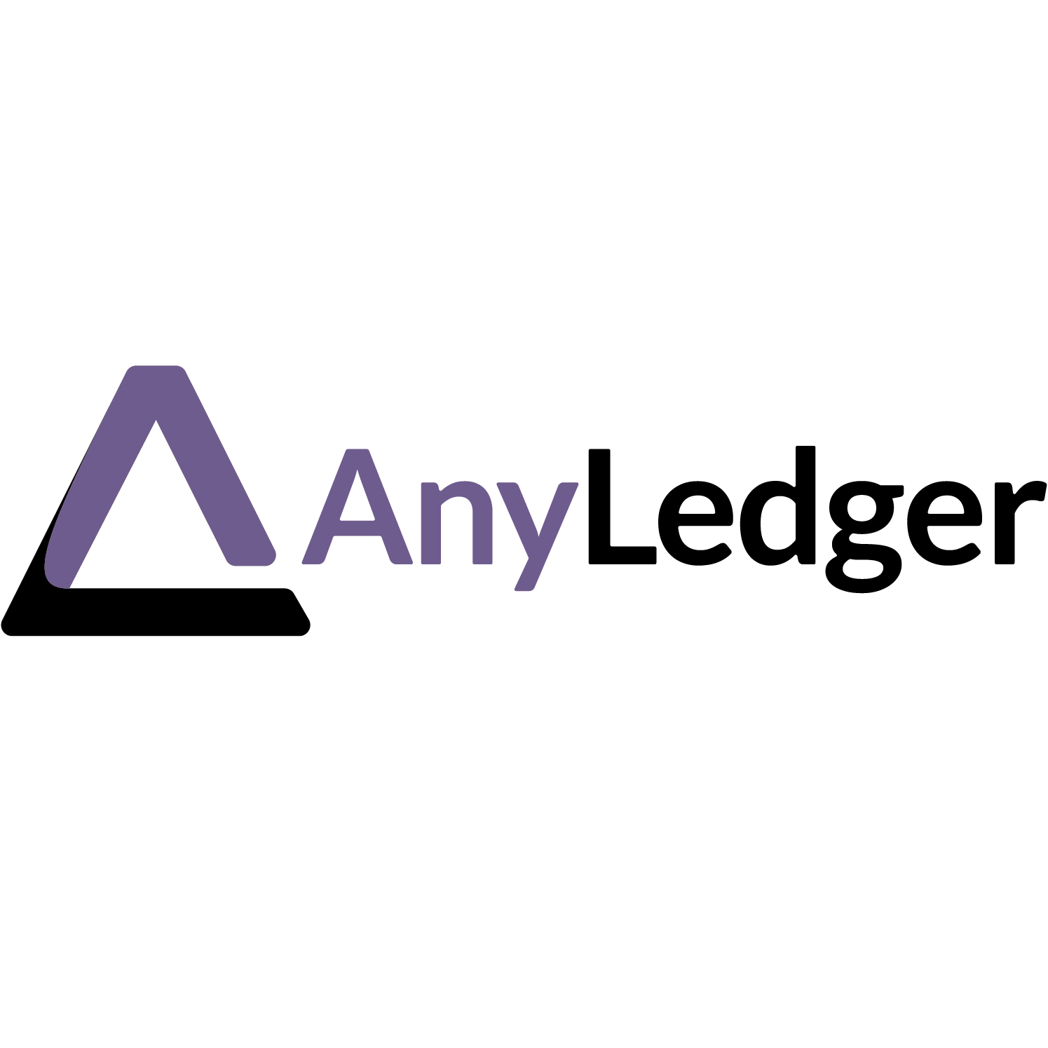 AnyLedger