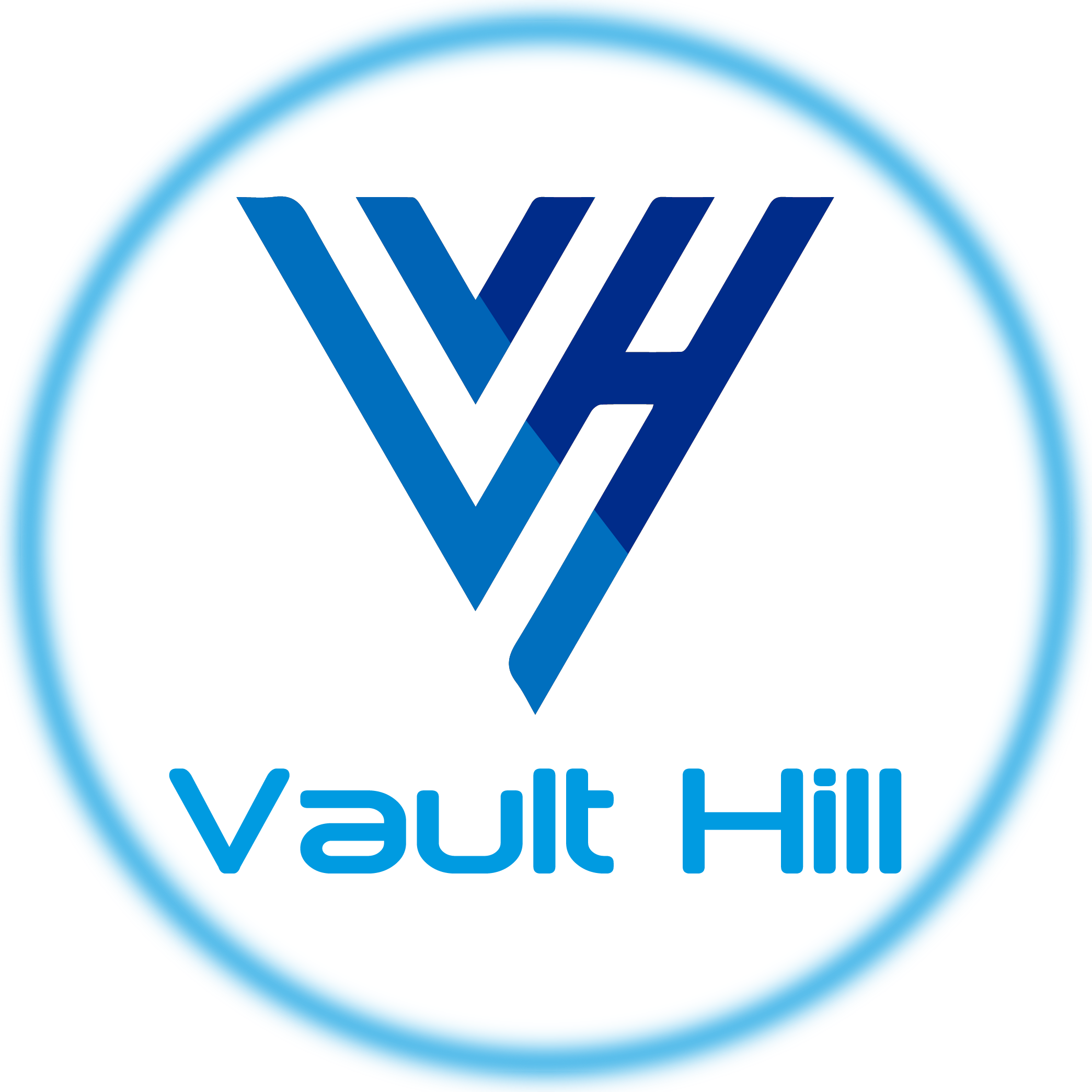 Vault Hill Limited