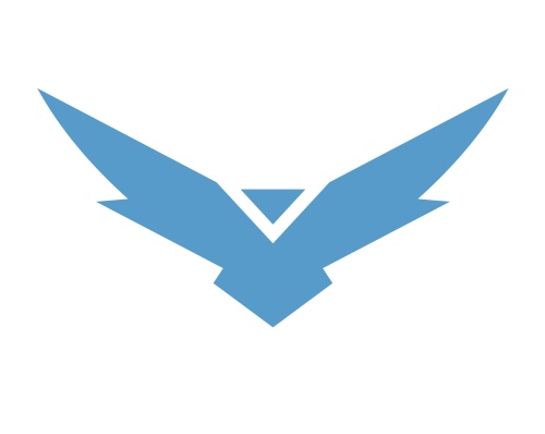 Falcon Global Capital AM