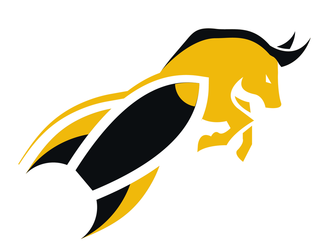 Bull LaunchPad