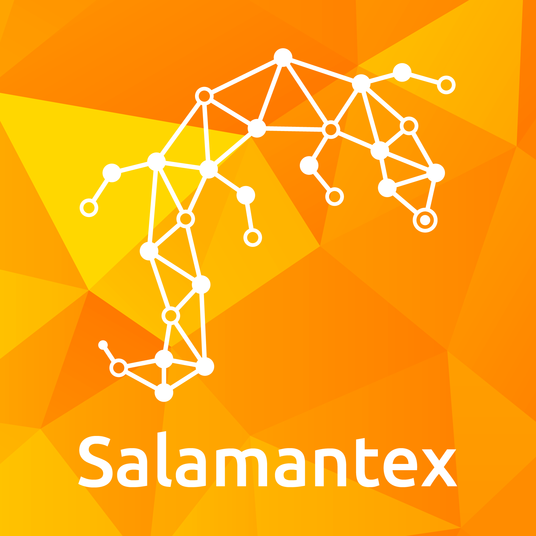 Salamantex GmbH