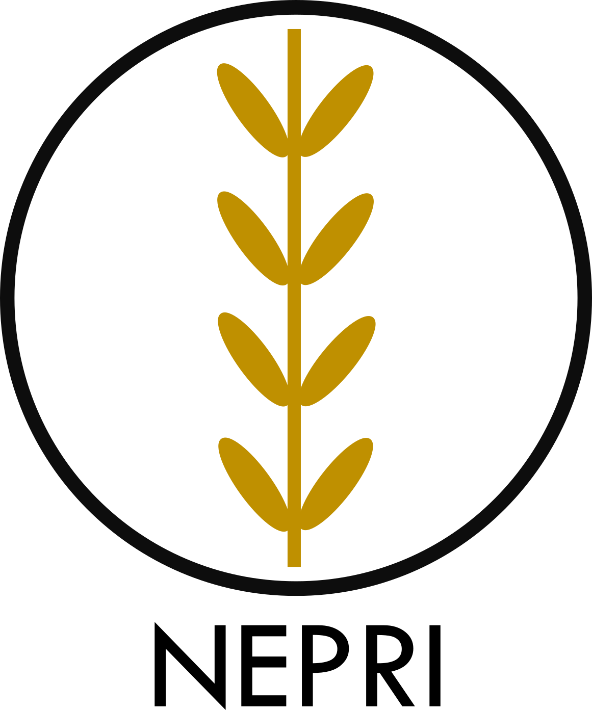 NEPRI Finance