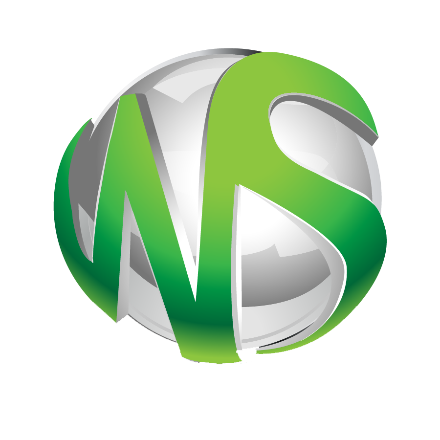 WINSOLUTIONS CORP.