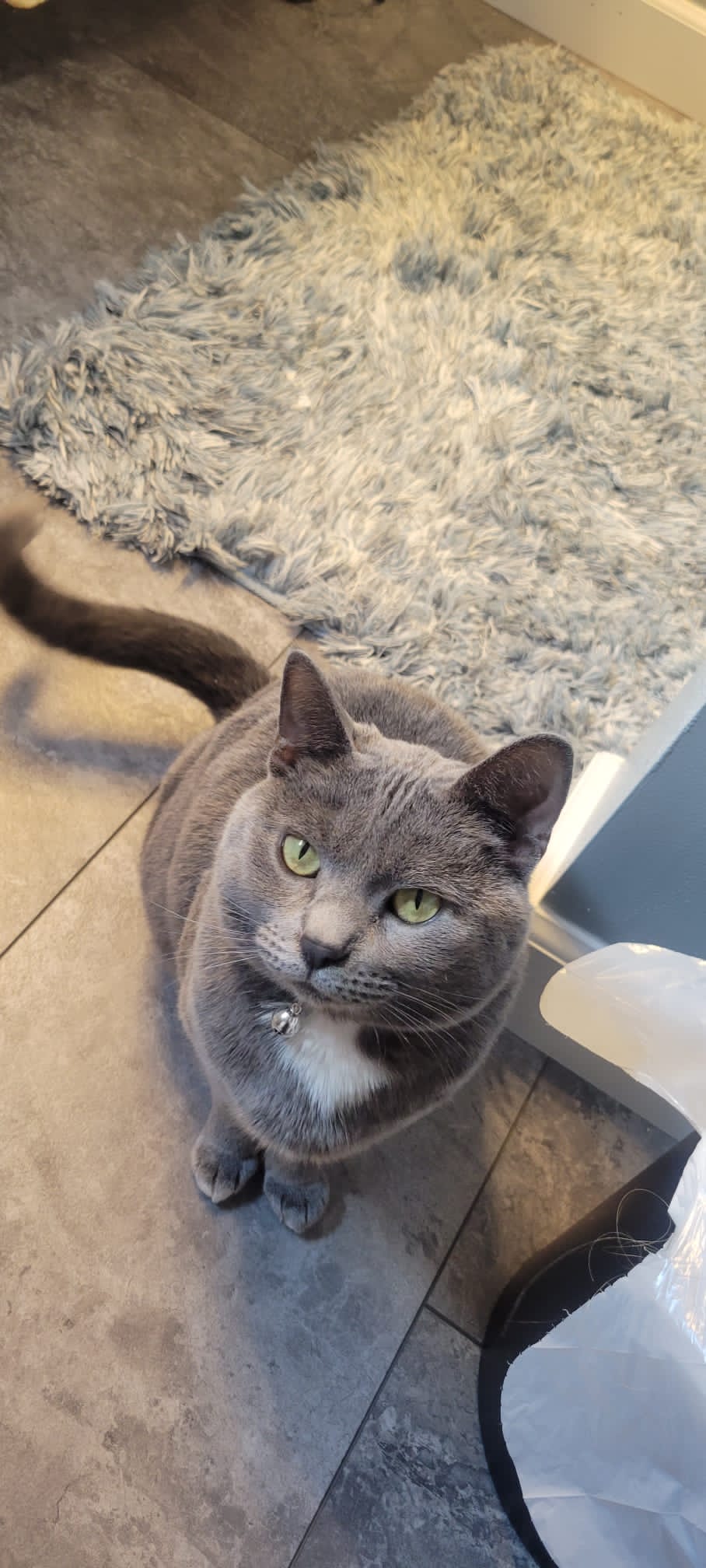 Felix
