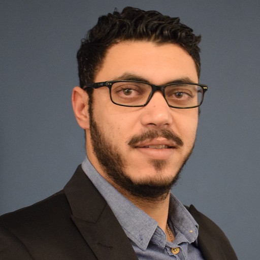 Sr. Blockchain Developer / Sr. Software Engineer